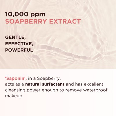 Soapberry Flawless Cleansing Water (8.45 fl.oz, 200mL)